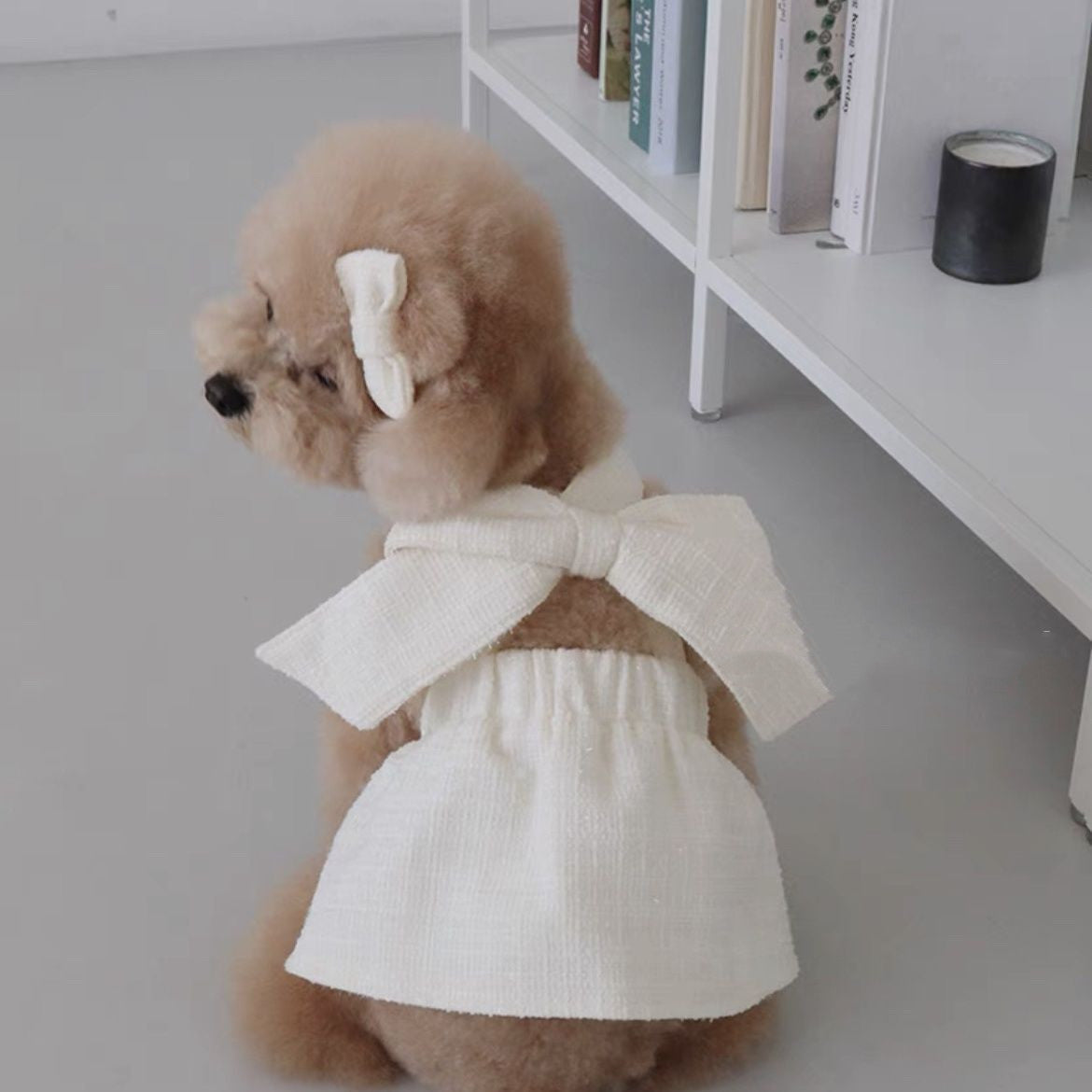 Pet Sling Skirt Pet Clothing Dog Clothes Cat Clothes Dog Skirt Cat Skirt
